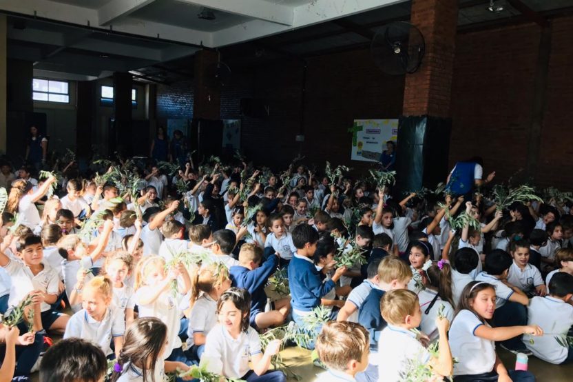 Domingo de Ramos 2019 - 03