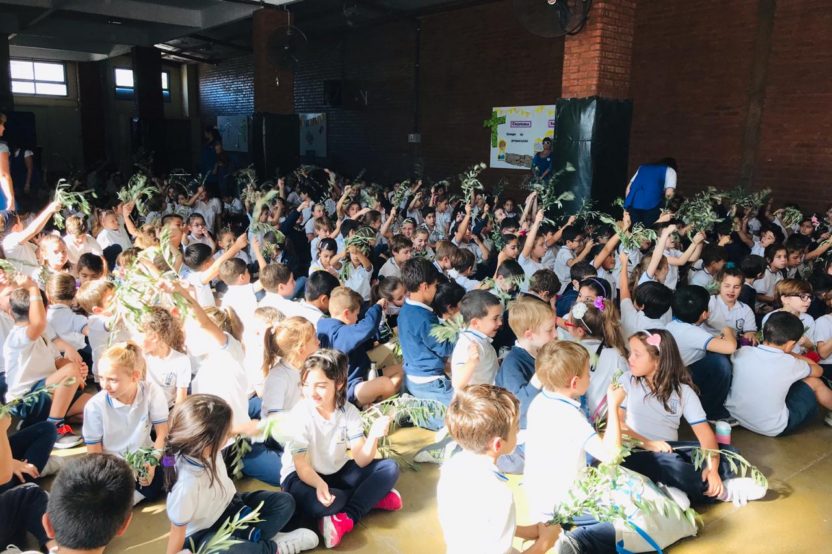 Domingo de Ramos 2019 - 04