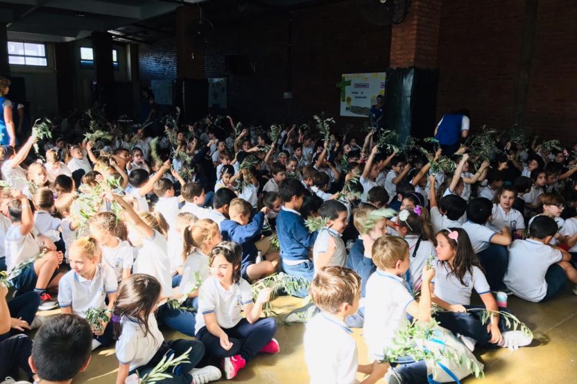 Domingo de Ramos 2019 - 05