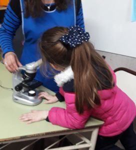 Articulacion Junio 2019 - 09