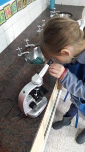 Proyecto Sala Verde 2019 - 03