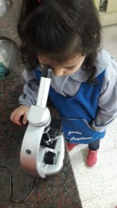 Proyecto Sala Verde 2019 - 04