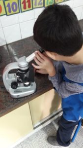 Proyecto Sala Verde 2019 - 05