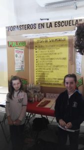 Feria de ciencias Regional - 10