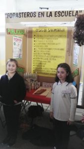 Feria de ciencias Regional - 12