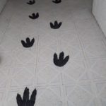 Maraton de lectura jardin - 2019 - 02