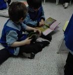 Maraton de lectura jardin - 2019 - 15